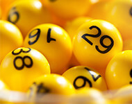 Bingo online